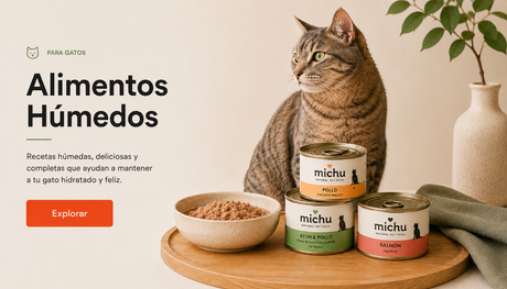 Alimento húmedo gatos