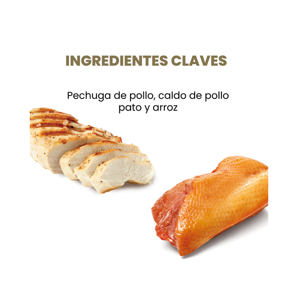 Pack 6 latas Pollo con Pato Applaws - Alimento Húmedo Gatos