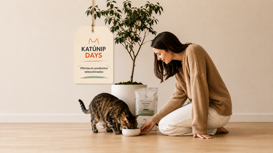 Banner home cyber shopify 2026