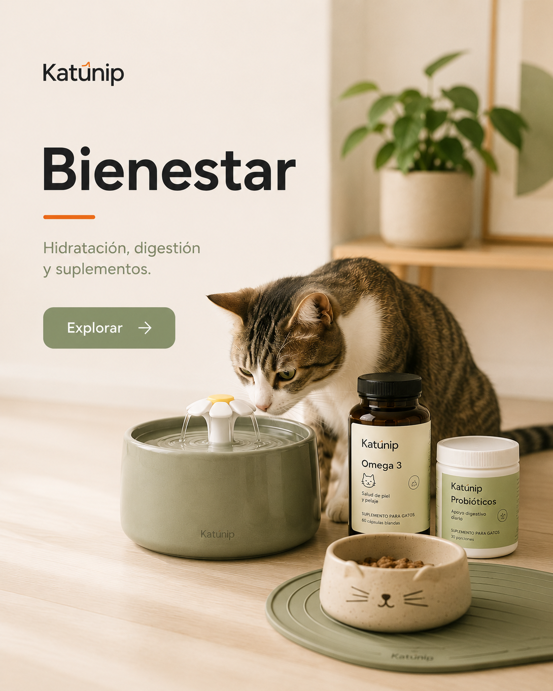Categoria bienestar gatos mobile