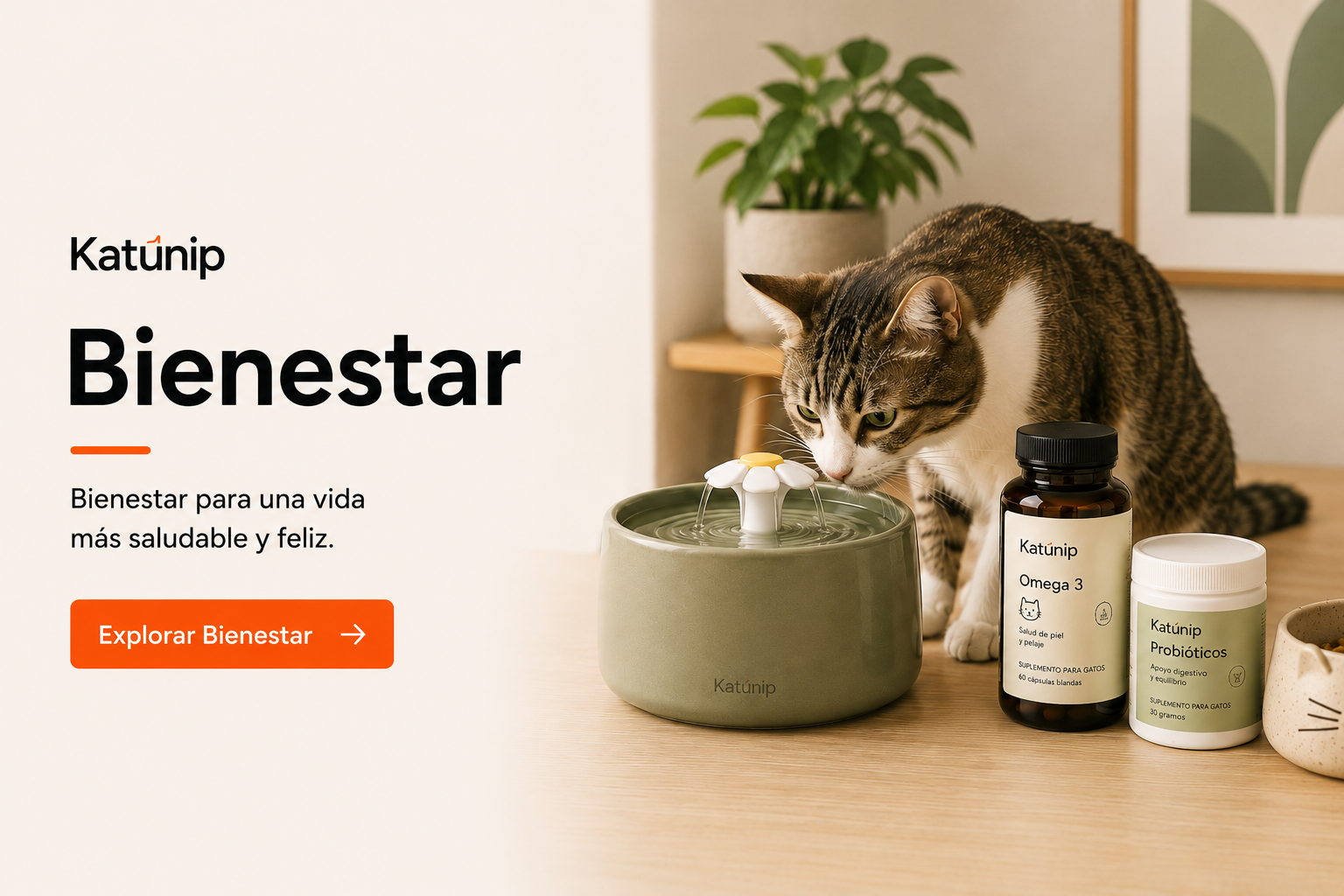 Categoria bienestar final