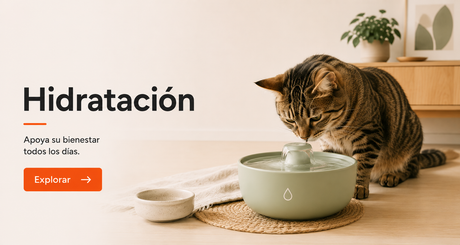 Snacks Cremosos