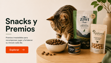 Premios y snacks