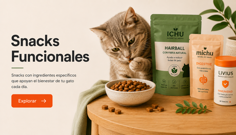 Snacks Funcionales