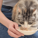 Imagen Gato comiendo Churu Broth