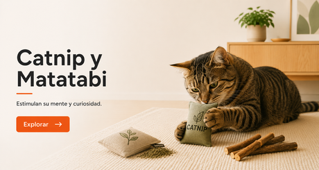 Catnip y matatabi