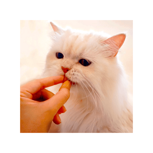 Churu Fun Bites Pollo - Pack de 3 - Snack Premio Gatos