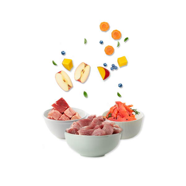 Sense Gatos Adultos | Alimento Húmedo de Pollo | Pack 6 latitas