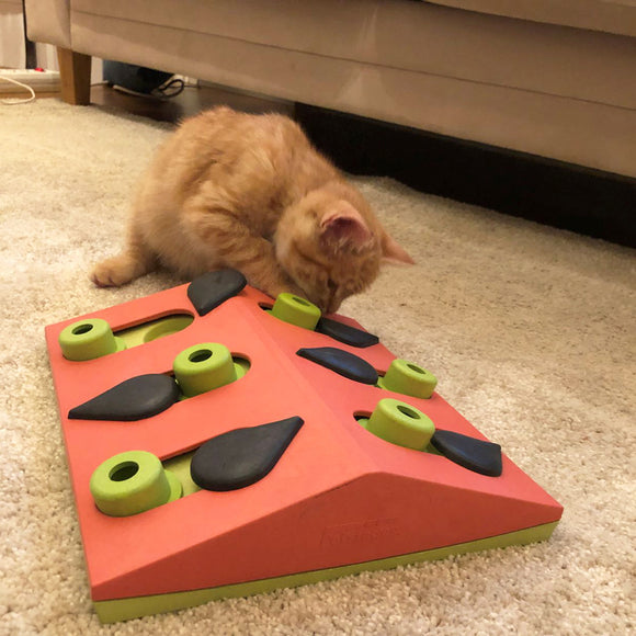 Nina Ottosson Melon Madness Puzzle & Play