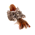 Juguete Interactivo con Sonido para Gatos - Pajarito Gigwi