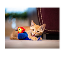 Juguete Interactivo con Sonido para Gatos - Loro - Gigwi
