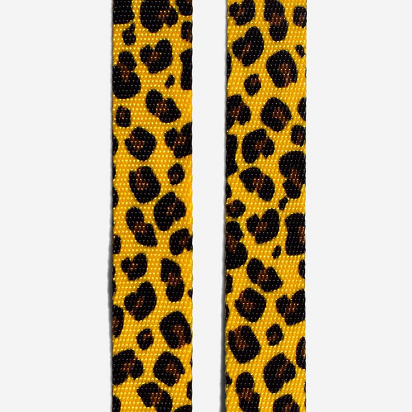 Collar para gatos Zee.cat Honey