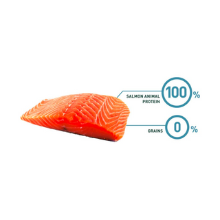 Bravery Adult Cat Salmon 2 Kg - Alimento Gatos