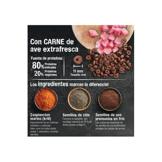 Leonardo® Senior 2 Kg