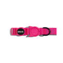 Collar para gatos Zee.cat Pink Led-2