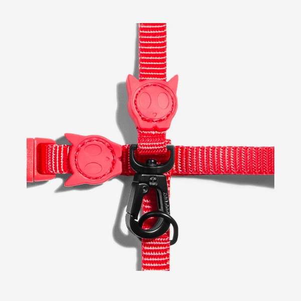 Arnés + Correa para gatos Zee.cat Neon Coral