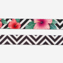 Collar para gatos Zee.cat Mahalo-3